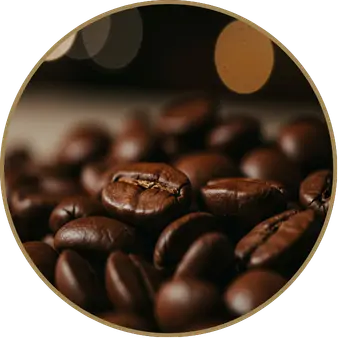 collection-img